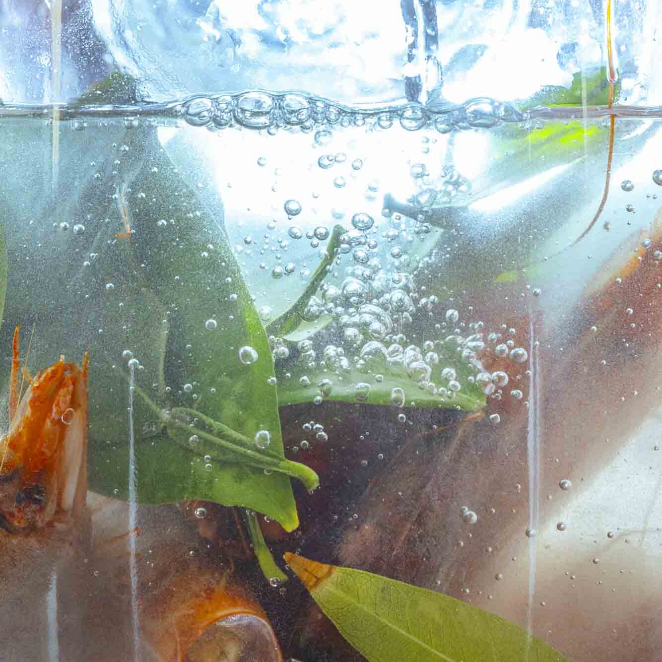 Food_photography_delta_restaurant_athens_gastronomos_magazine_vlaikos1