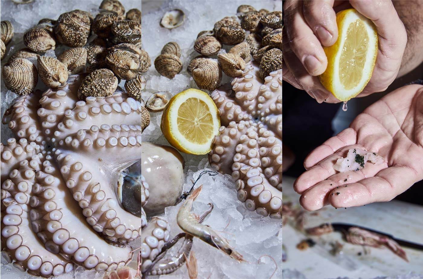 skotadis_aegina_gastronomos_by_photographer_athens_greece_food_Dimitris_Vlaikos_