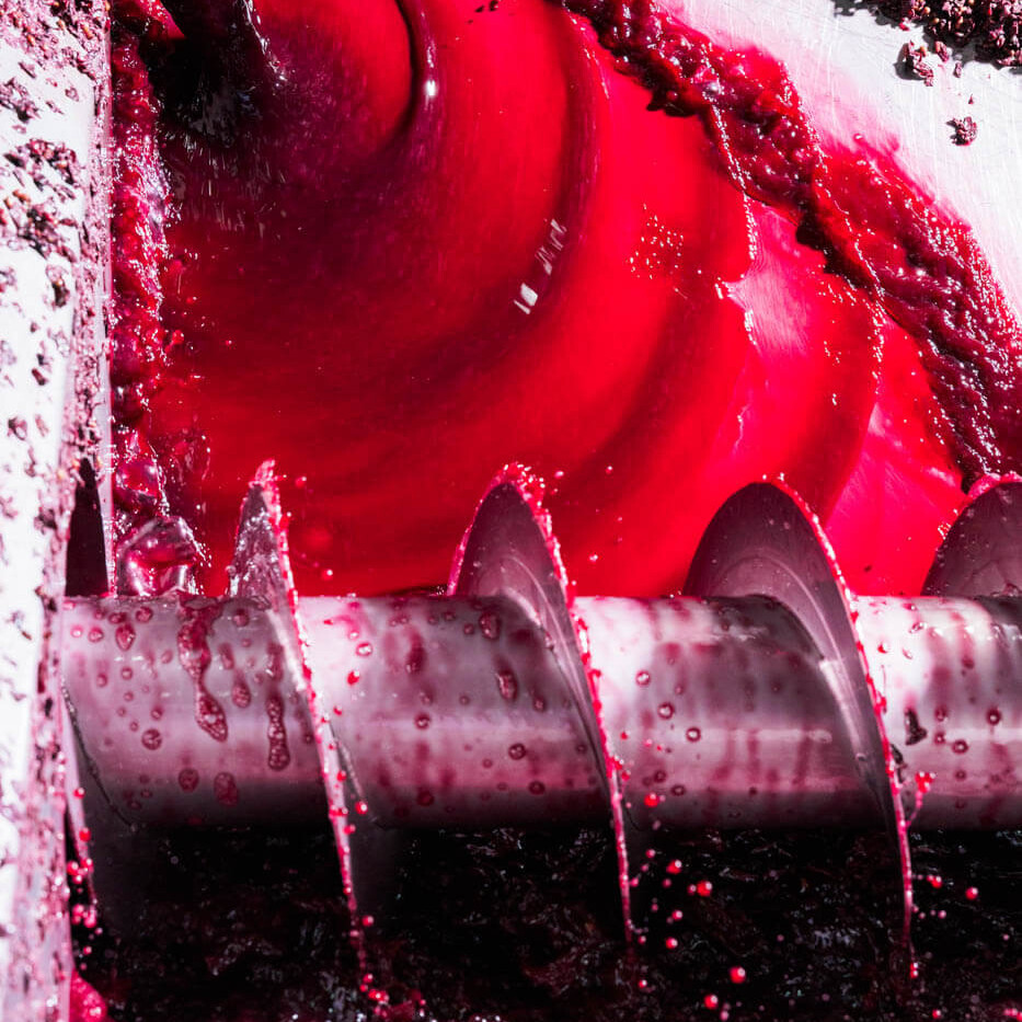 Skouras_Domaine_by_portrait_advertising_photographer_athens_greece-1_Dimitris_Vlaikos