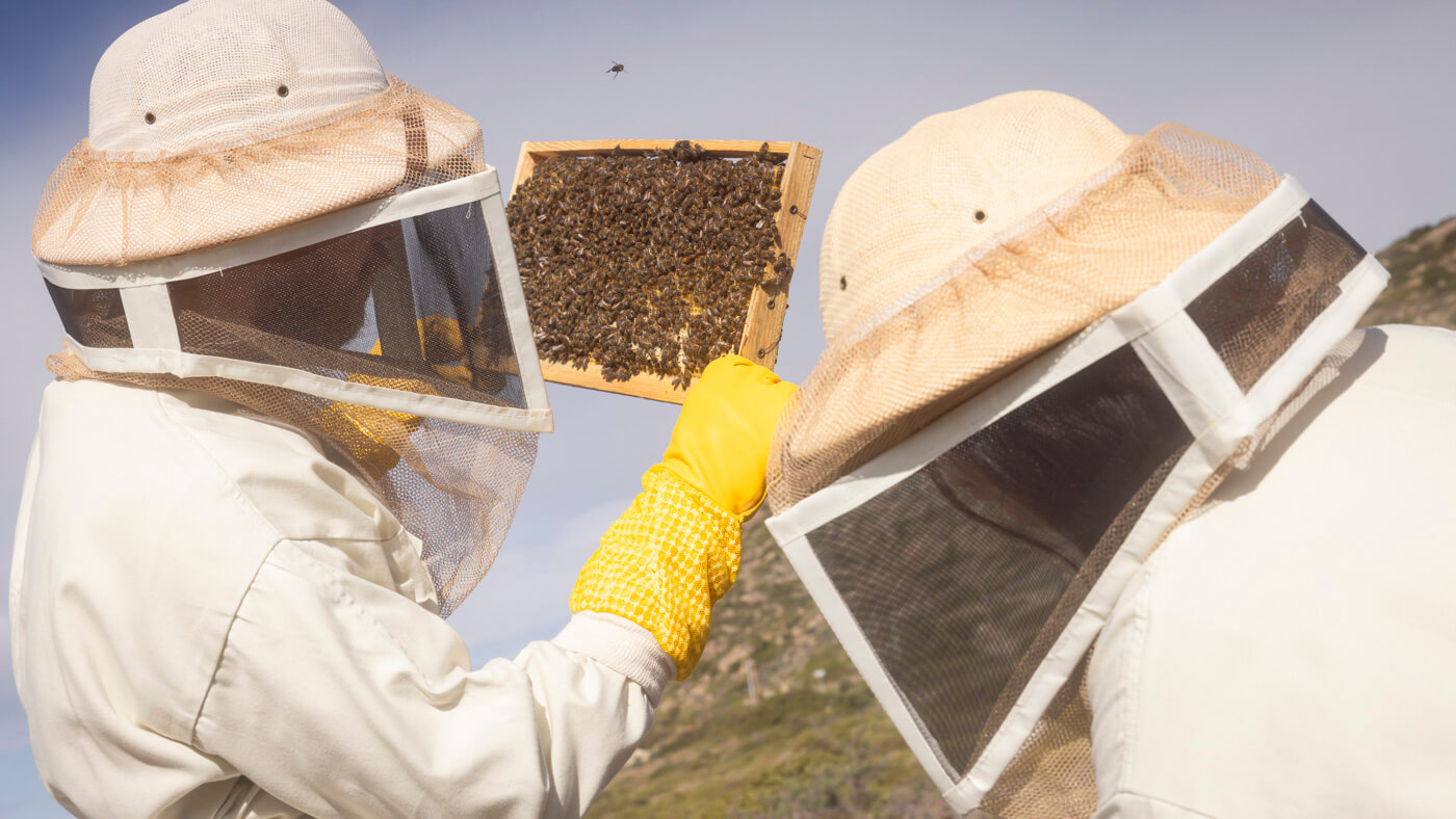 Bee_louis_beekeeper_honey_by_Dimitris_Vlaikos_portrait_advertising_photographer_athens_greece