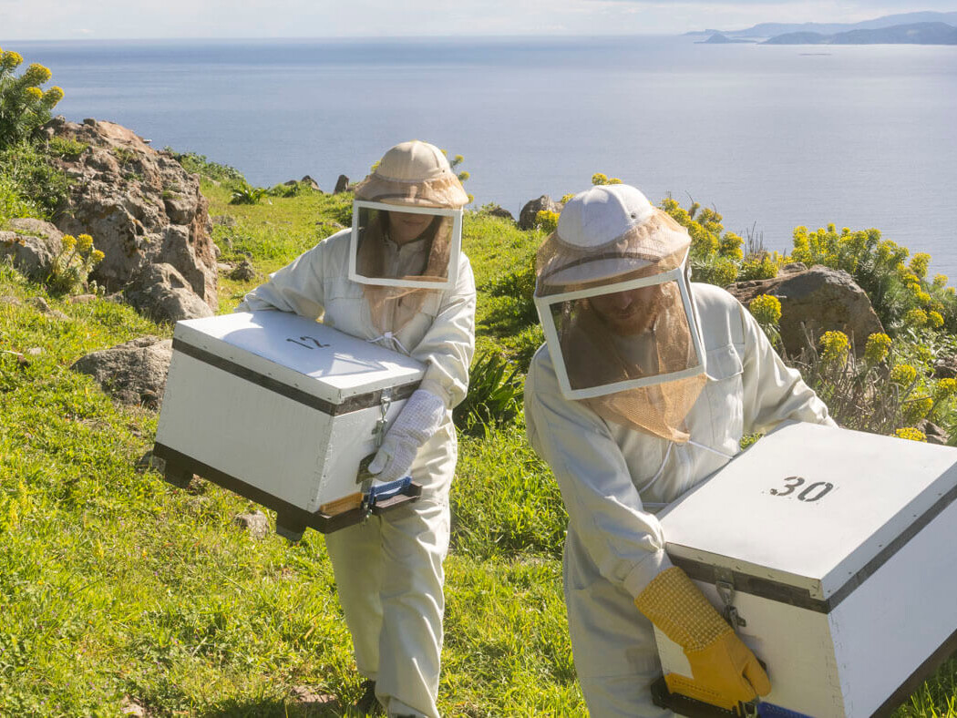 Bee_louis_beekeeper_honey_by_Dimitris_Vlaikos_portrait_advertising_photographer_athens_greece