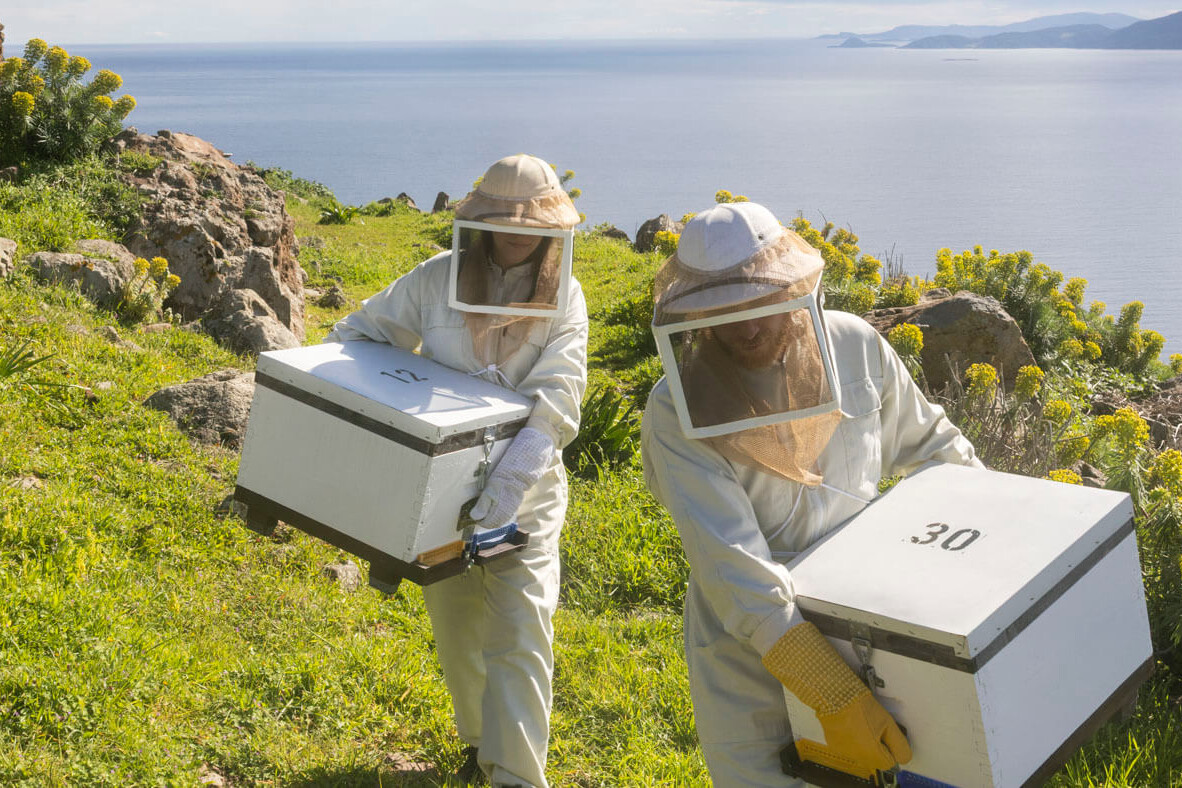 Bee_louis_beekeeper_honey_by_Dimitris_Vlaikos_portrait_advertising_photographer_athens_greece