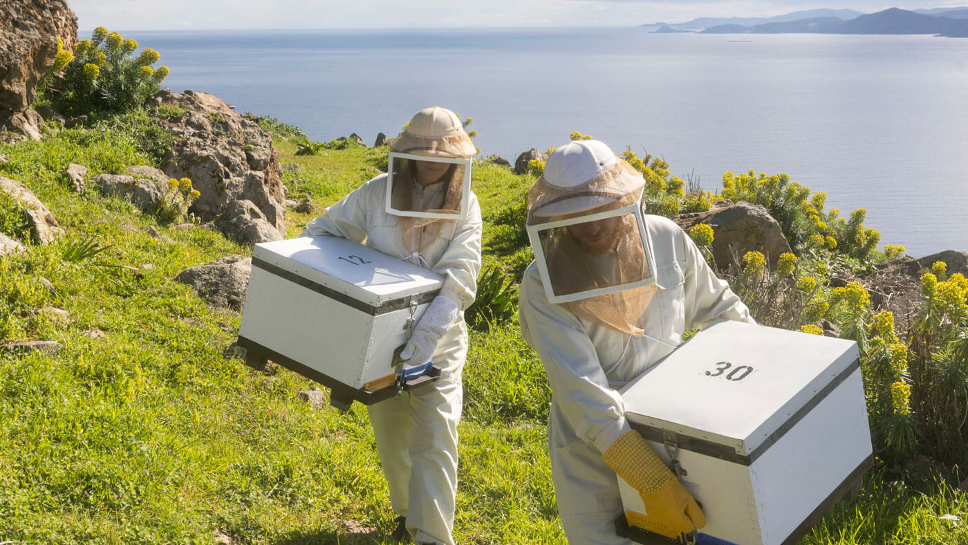 Bee_louis_beekeeper_honey_by_Dimitris_Vlaikos_portrait_advertising_photographer_athens_greece