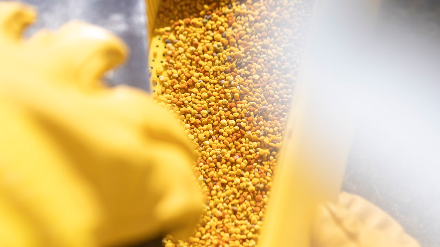 Bee_louis_beekeeper_honey_by_Dimitris_Vlaikos_portrait_advertising_photographer_athens_greece